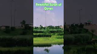 Surah Al- Ikhlas | Beautiful Quran Recitation | #youtubeshorts #quran #allah #rahman