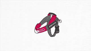 UpFront D-Ring Attachment - Turn your Dog Harness into a Front Attaching Training Harness