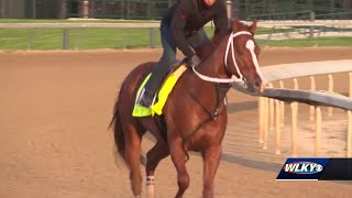 Kentucky Derby horse Mage racing to raise awareness for cancer