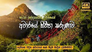 අවාරේ සිරිපා කරුණාව | Off season Sripada hiking | හැටන් - නල්ලතන්නියෙන් (With English Subtitles)