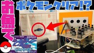 【3077h～ポケモンリーグ編】ペットの魚でポケモンクリア_Clear the pokemon with fish【作業用BGM】