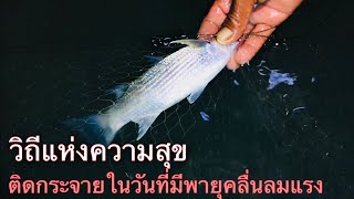 ออกล่าฝูงปลากระบอก..กับวิถีอาหารการกินที่สดสะอาดและปลอดภัย | วิถีพื้นบ้าน เดลิเวอรี่