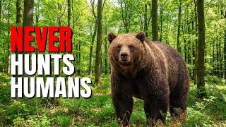 5 Apex Predators That Never Hunt Humans