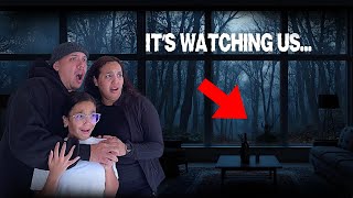 Our Backyard Is Getting Scarier Caught This On Camera