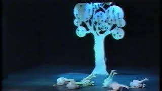 Espressione Danza - Saggio 1988