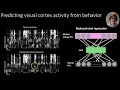 High-dimensional signal and noise in 20,000 neuron recordings - Carsen Stringer