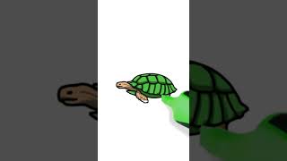 Turtle Drawing, Painting, Coloring for Kids #shorts