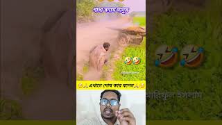 এখানে দোষ টা কার।