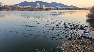 겨울 낚시터!여기가 핫플!!부산 삼락수로!!