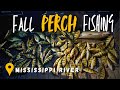 UNREAL Fall Perch, Crappie, and Bluegill river fishing action!