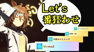 秘密兵器で絶対に勝つジェミニ杯決勝【ウマ娘】