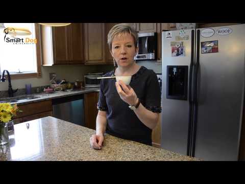 No Fat Dogs! How to Help Your Dog Lose Weight No Fat Dogs! How to Help Your Dog Lose Weight