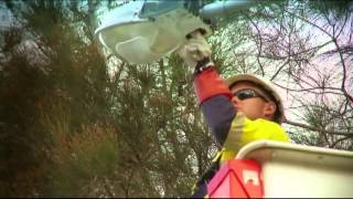 Overhead streetlight repairs