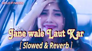 Jane Wale Laut Kar ( Slowed + Reverb ) B Praak | Payal Dev | Sad Song 2023 | Heart Broken Lofi Song