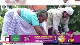 നാളികേര ഉല്‍പ്പാദനം വര്‍ധിപ്പിക്കാനൊരുങ്ങി പുറക്കാട് പഞ്ചായത്ത്