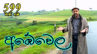 Gamata Namak - (අඹේවෙල - Ambewela)