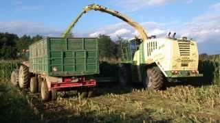 krone big x 1000 silage maize 2013 / siliranje koruze