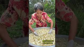 Cùng làm củ kiệu ngâm mắm nhỉ đường phèn mạch nha ăn Tết cùng Má nhé! 0977322861