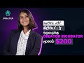 Content Creator களுக்கான 'The Ultimate Crash Course' | Creator Incubator | Digital Turtles