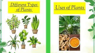 Plants Around Us || Different Types Of Plants |  Plant Products
