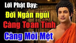 Lời Phật Dạy: Biết Đời Ngắn Ngủi – Đừng Mãi Toan Tính, Hơn Thua Làm Gì, Bình Thản Mà Sống