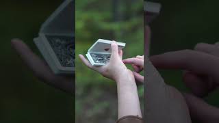 Charlier Cut #cardistry #playingcards #magic