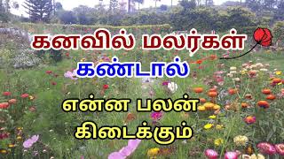 Kanavu Palangal in Tamil/ கனவு பலன்கள்/ கனவுகளின் பலன்கள்/Dream/கனவுகள் பலன்கள்