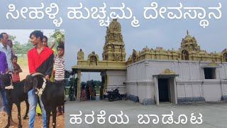 ಸೀಹಳ್ಳಿ ಹುಚ್ಚಮ್ಮ ದೇವಸ್ಥಾನ | ಹರಕೆಯ ಬಾಡೂಟ Seehalli Hucchamma Temple | B Seehalli #village  #deity