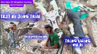 #Ná Cao Su| Test Ná Sừng Trâu trúng Luồng #slingshot @ĐucMau93Slingshothunting #103