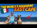 Driving the East Cape of Baja California Sur - Cabo Pulmo [2022]