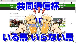 【競馬予想】共同通信杯2022 ズバリ いる馬 いらない馬 金盃 雲取賞 クイーンカップ 京都記念