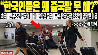 【해외감동사연】 한국인들은 왜 중국말 못해? 속국 한국은 당연히 중국어 배워야 한다던 중국 교수가 한국 도착 3초 만에 태세 전환한 이유