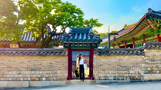 [4K SEOUL] '문화가 있는 날' 창경궁에서 창덕궁까지 | Two palaces facing the wall, Changgyeonggung and Changdeokgung