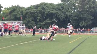 Football: Gov. Livingston's Mike Policastro throws TD pass