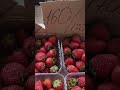 😳Ціна на ПОЛУНИЦЮ🍓. кінець літа поляниця полуниця клубника strawberry