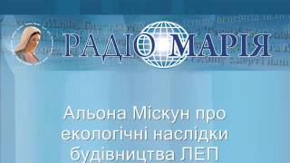 Олена Міскун про екологічні проблеми будівництва ЛЕП