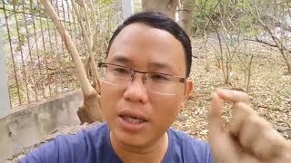 Learn Vietnamese phrases: Giết thời gian - Kill time (Intermediate level/Subtitles)