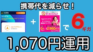 22,800円お得！20ギガも使わないあなたにyuモバイルと楽天モバイルで6ギガ/携帯代/格安SIM