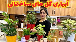 آبیاری گل های ساختمانی به روش ستاره فود