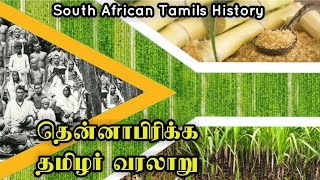 South African Tamils | South Africa Tamils History | Sugar Cane History