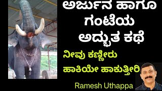 ಅರ್ಜುನ ಹಾಗೂ ಗಂಟೆಯ ಅದ್ಭುತ ಕಥೆ   arjuna elephant new video