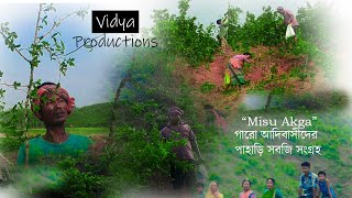 Misu Akga | গারো আদিবাসীদের পাহাড়ি সবজি সংগ্রহ | Garo People in Bangladesh | গারো আদিবাসী