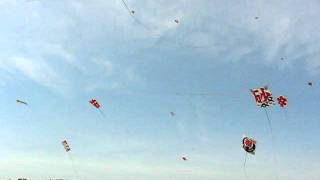 Japan - Hamamatsu Matsuri - kite festival