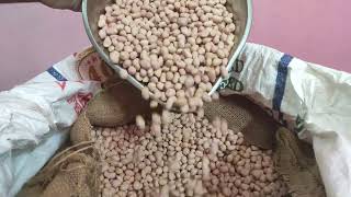 GROUNDNUT I நாட்டு வேர்கடலை I PRT CASHEWS