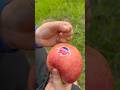 Cậu bé tốt bụng Gỡ bỏ nhãn dán Apple #camping #apple #lifehacks #outdoors