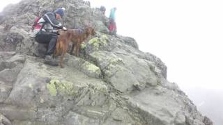 The Besseggen Ridge hike