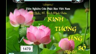 Kinh Tương Ưng Bộ 1 Phần 2 - DieuPhapAm.Net