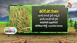 Foreign Paddy Varieties in Natural Way |ప్రకృతి విధానంలో విదేశీ వరి రకాల సాగు | Matti Manishi | 10TV