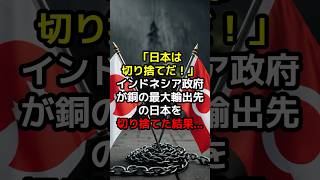 【海外の反応】「日本など必要ない」インドネシア政府が銅の最大輸出先の日本を切り捨てた結果…