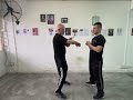 ‘WSL Ving Tsun Kuen Hok’ - breaking it down #80 - the Concepts of the ‘Cham Kiu’ form (Pt.6)